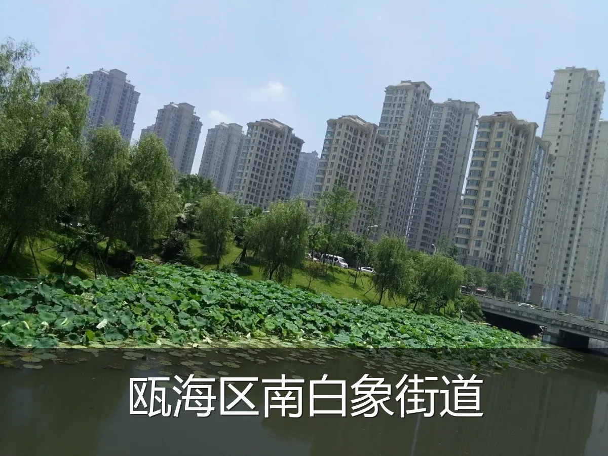 瓯海区南白象街道
