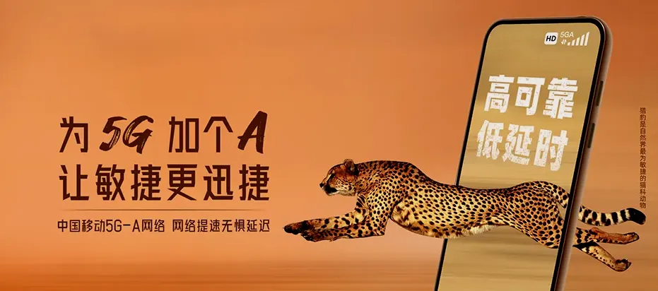 瓯海区瓯海区泽雅镇 移动宽带