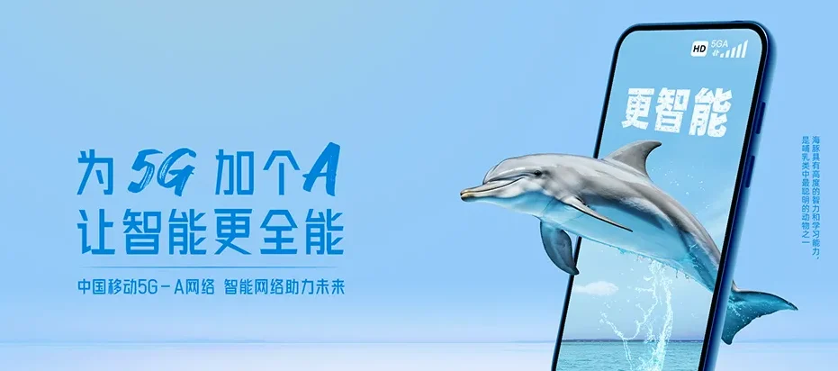 瓯海区瓯海区三垟街道 移动宽带